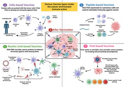 Redefining the battle against colorectal cancer: a comprehensive review of emerging immunotherapies and their clinical efficacy